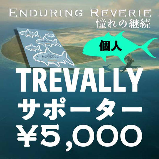 【個人】Trevallyサポーター