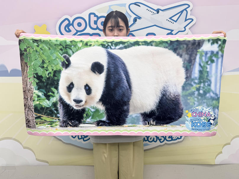 神戸新聞にお名前の掲載＋「タペストリー」 - (「パンダがつなぐ