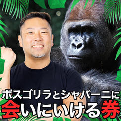 ボスゴリラとシャバーニに会いにいける券