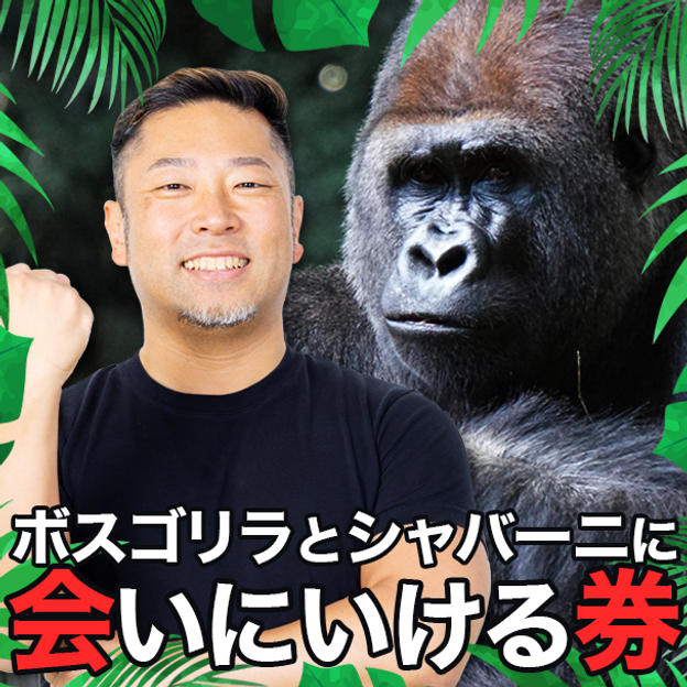 ボスゴリラとシャバーニに会いにいける券