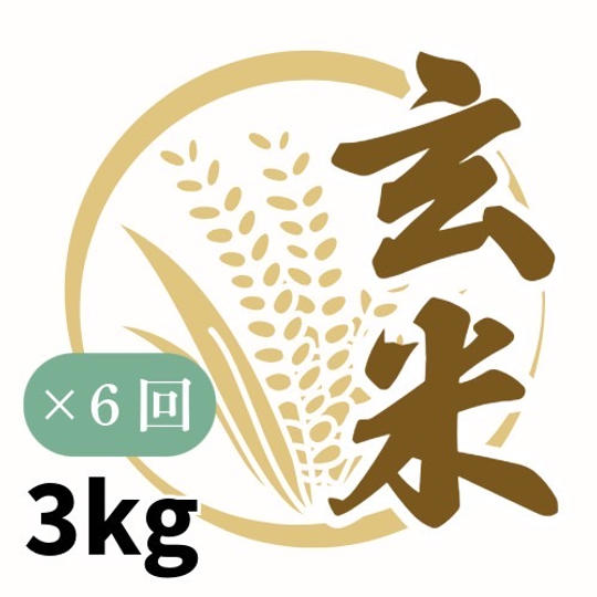 玄米３kgを6回