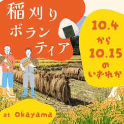 稲刈りボランティア