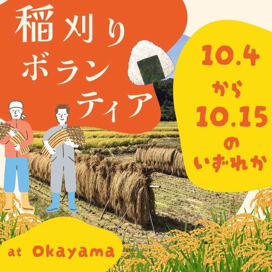 稲刈りボランティア