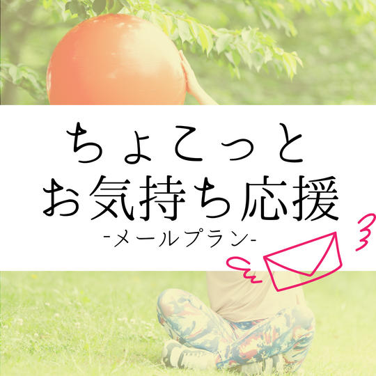 ① ちょこっとお気持ち応援プラン(メール)