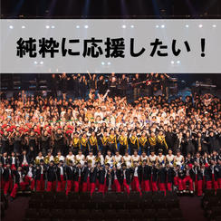 純粋に応援！コース