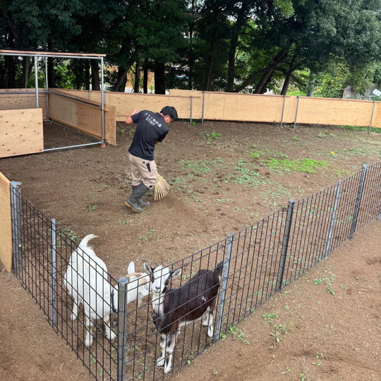 1日飼育員体験チケット