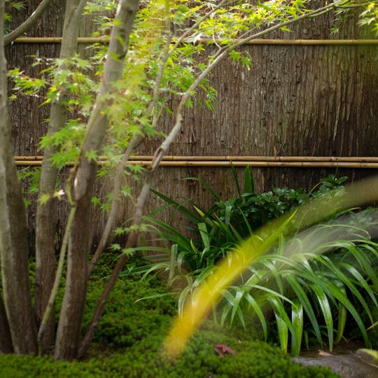 庭づくり特別参加コース | 植樹権