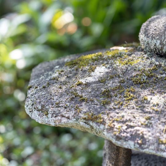 庭園特別拝観イベントチケット（2026.5.23）