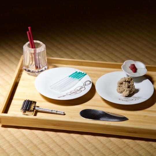 【限定3】養生コース | 特別鍼灸治療（2026.6.13）