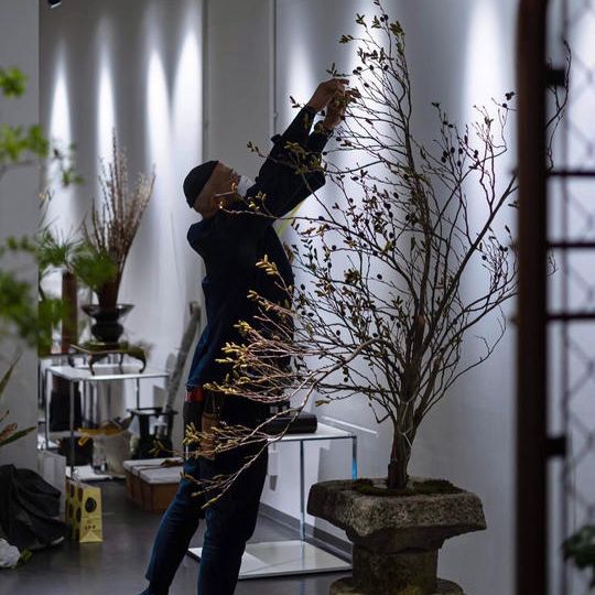 寺子屋コース | 華道体験（2026.6.6）