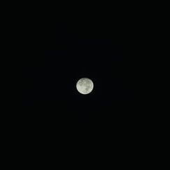 寺子屋コース | 夜間特別拝観プログラム（2026.5.16）