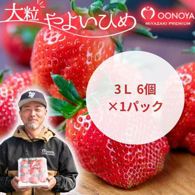 無農薬イチゴ ３L　6個　（ユリカーゴ梱包、低温配送）