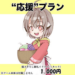 応援プラン