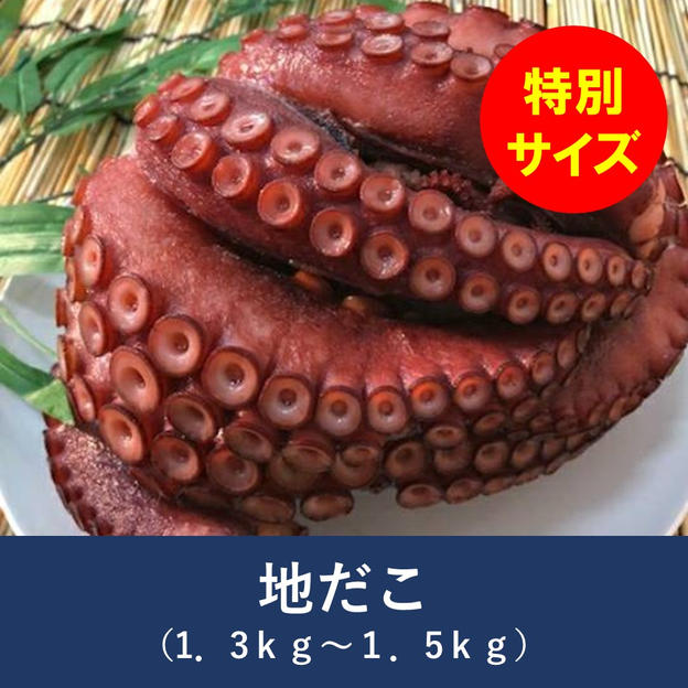 地だこ　1杯（1.3～1.5kg）
