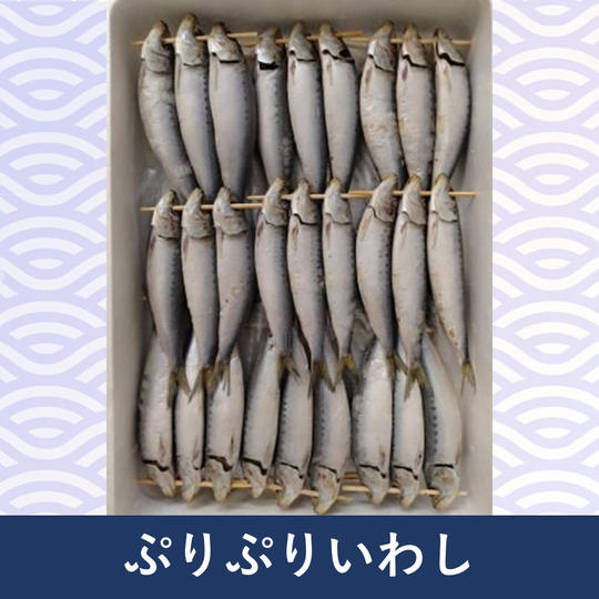 ぷりぷりいわし