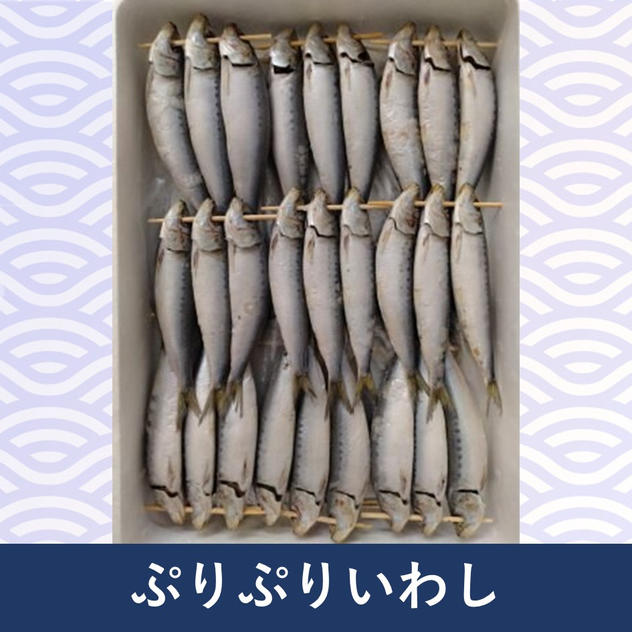 ぷりぷりいわし