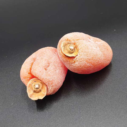 【連合加盟 No.15】長野県中川村『市田柿 2kg』