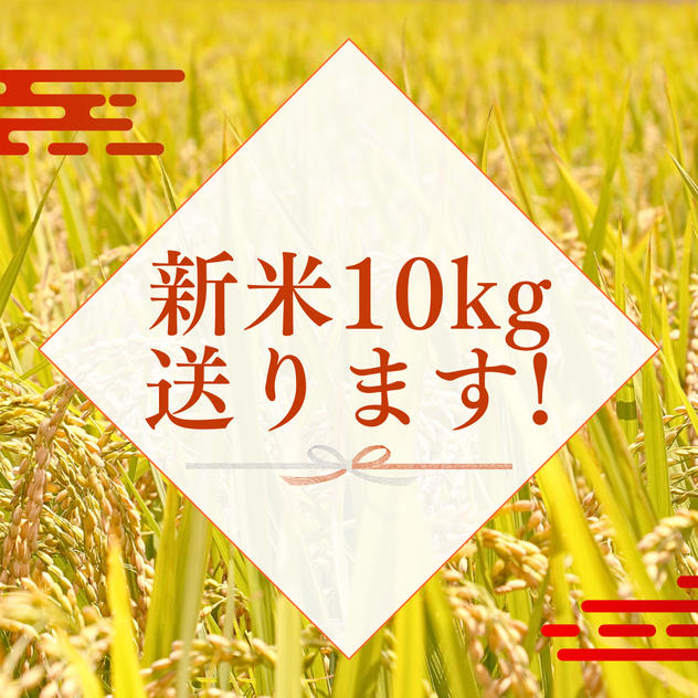 新米10kg を送ります