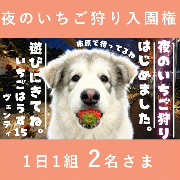 夜のいちご狩り入園権 2名さま