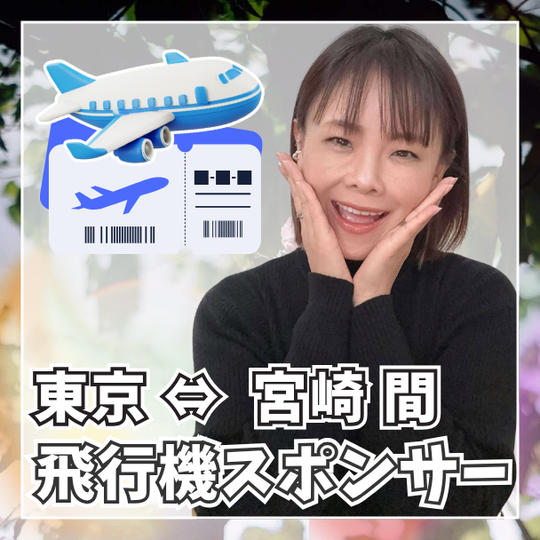 東京-宮崎間 飛行機スポンサー