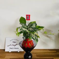 【お正月仕様！】プランツボールS