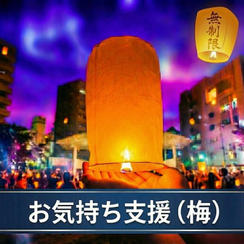 お気持ち支援（梅）