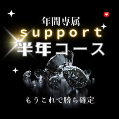 年間専属サポート（半年）