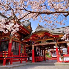 花園神社参拝参加権