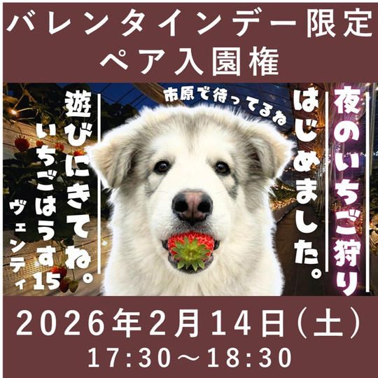 バレンタインデー限定ペア入園権【2/14】