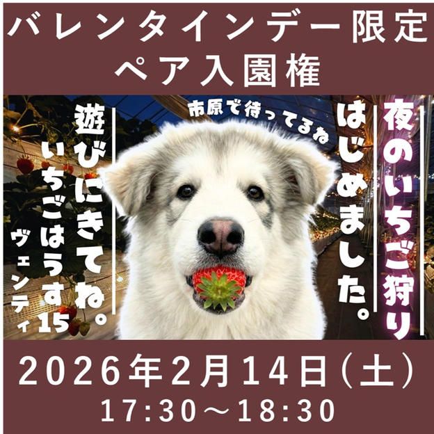 バレンタインデー限定ペア入園権【2/14】