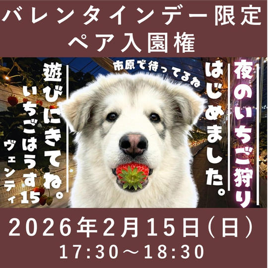 バレンタインデー限定ペア入園権【2/15】