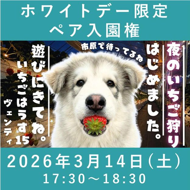 ホワイトデー限定ペア入園権【3/14】