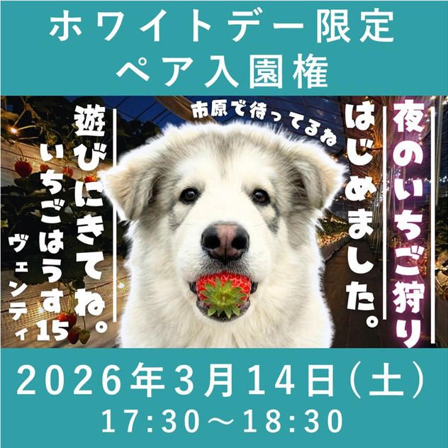 ホワイトデー限定ペア入園権【3/14】