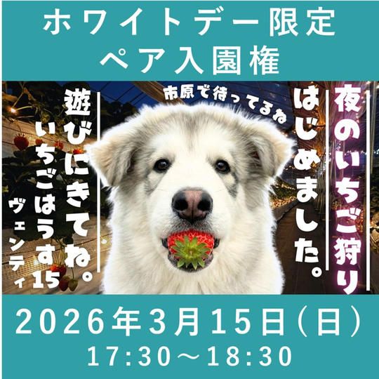 ホワイトデー限定ペア入園権【3/15】