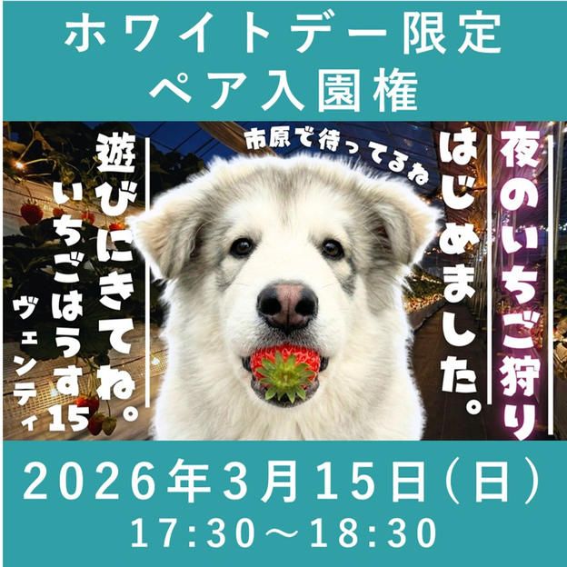 ホワイトデー限定ペア入園権【3/15】