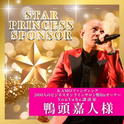 【鴨頭嘉人様専用】スタープリンセススポンサー