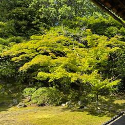 【限定10名】お写経③(2026年5月30日10:00～)　御朱印とお礼状