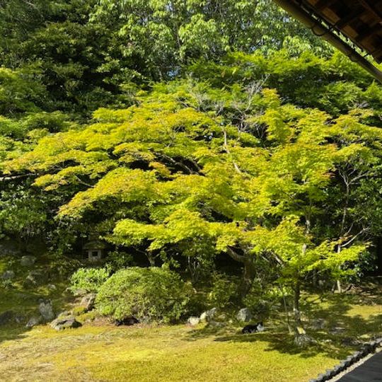 【限定10名】お写経③(2026年5月30日10:00～)　御朱印とお礼状