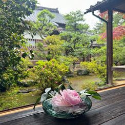 【限定１組（１組５名まで）】お煎茶席に御招待①(2026年６月頃　午前中)