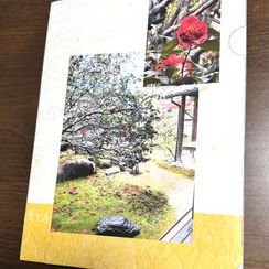 クリアファイル①（日光椿）と御朱印とお礼状