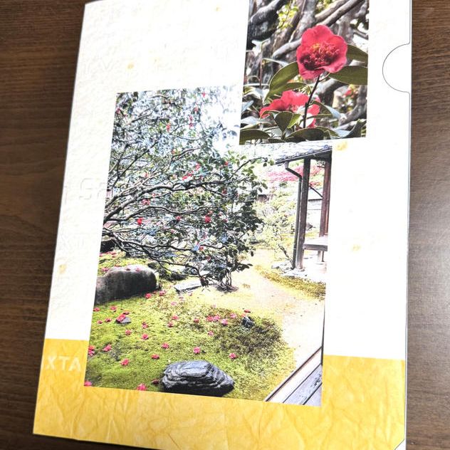 クリアファイル①（日光椿）と御朱印とお礼状