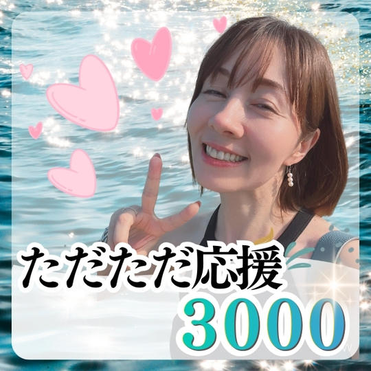 ただただ支援3000