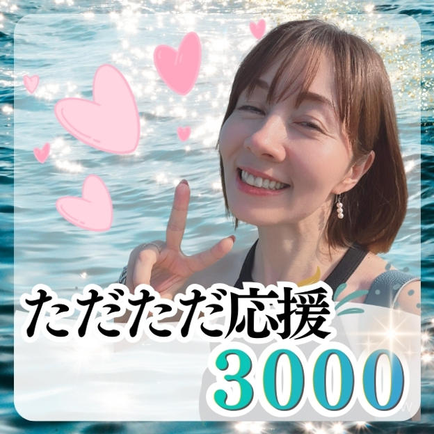 ただただ支援3000