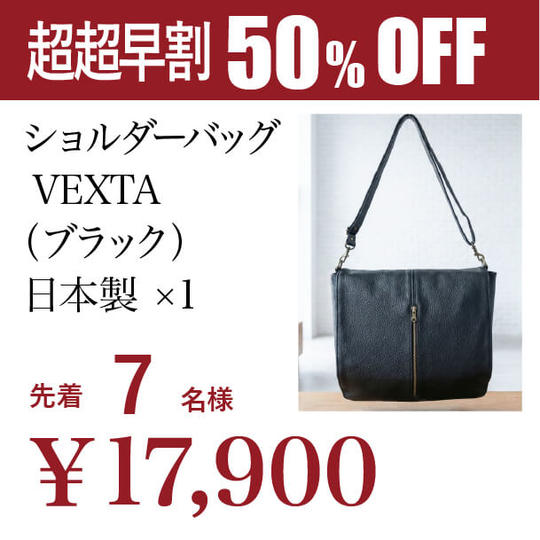 【超超早割】先着50名様 フラップメッセンジャー VEXTA