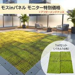 【モニター特別価格】モスinパネル 1㎡（パネル16枚）