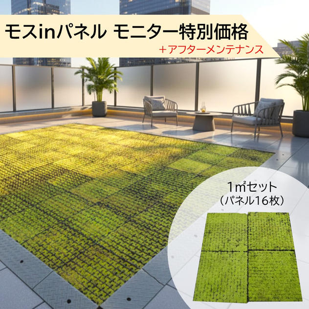 【モニター特別価格】モスinパネル 1㎡（パネル16枚）