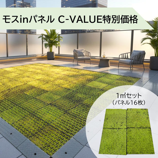 【C-VALUE特別価格】モスinパネル 1㎡（パネル16枚）