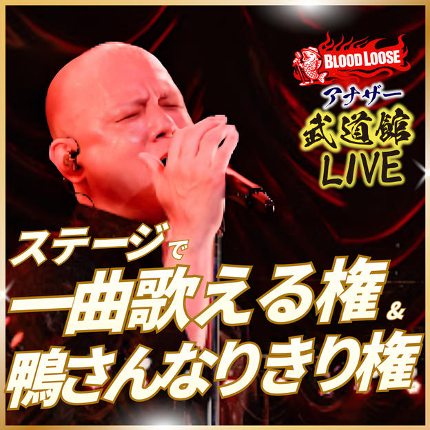 ステージで一曲歌える＆鴨さんなりきり権