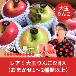 レア！大玉りんご 6個入り【特価】