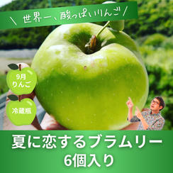 【世界一酸っぱいりんご】ブラムリー　6個入り